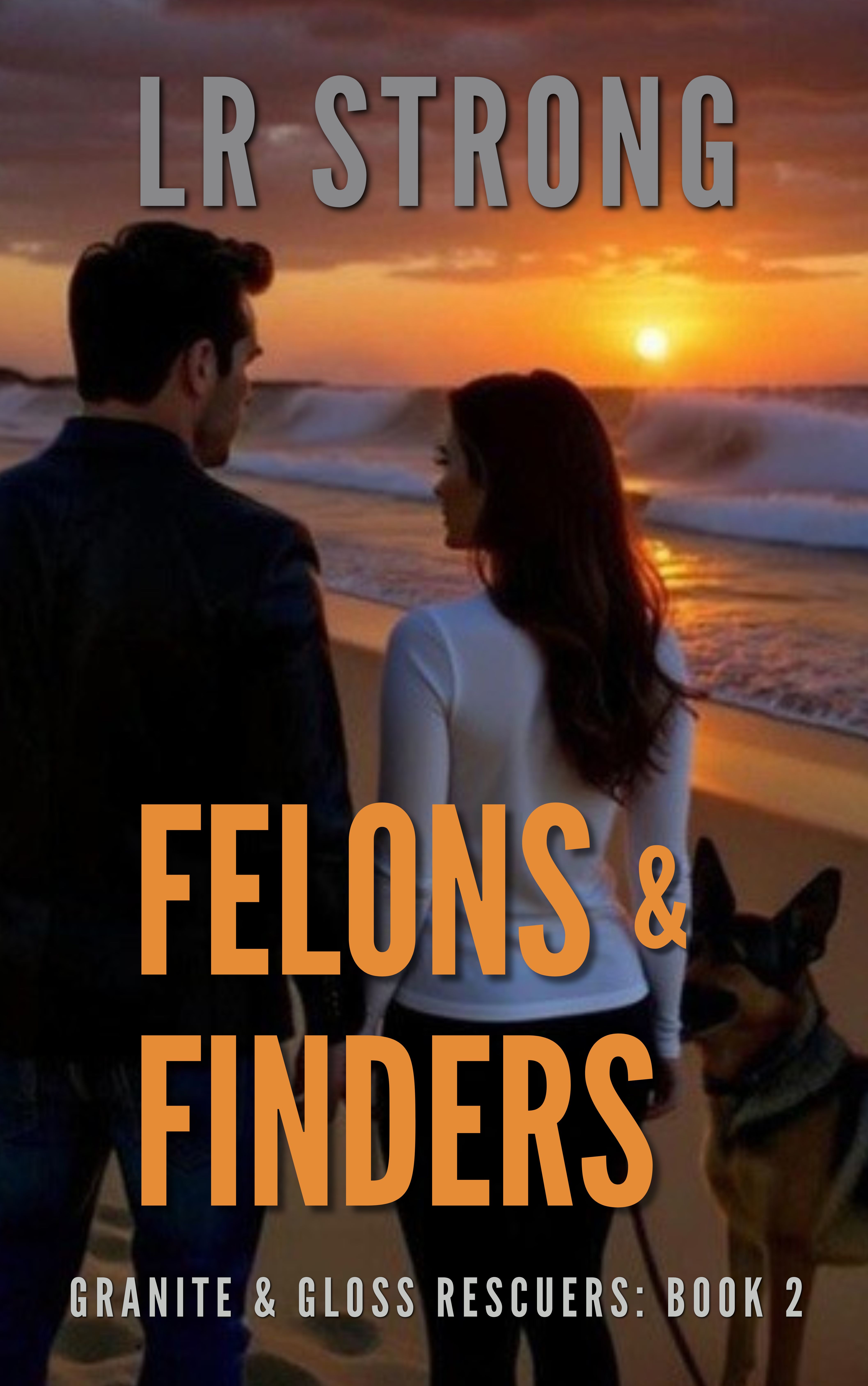 Felons & Finders book cover